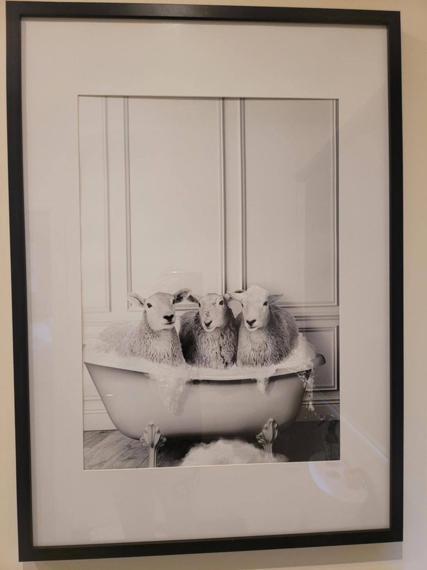 Deville At Healesville Room photo